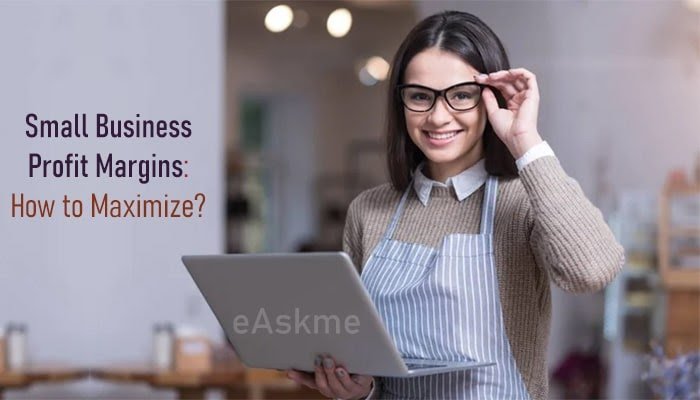 How Small Business Owners Can Maximize Profit Margins?