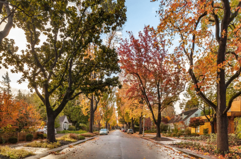 The hidden cost of living amid Mark Zuckerberg’s $110M compound