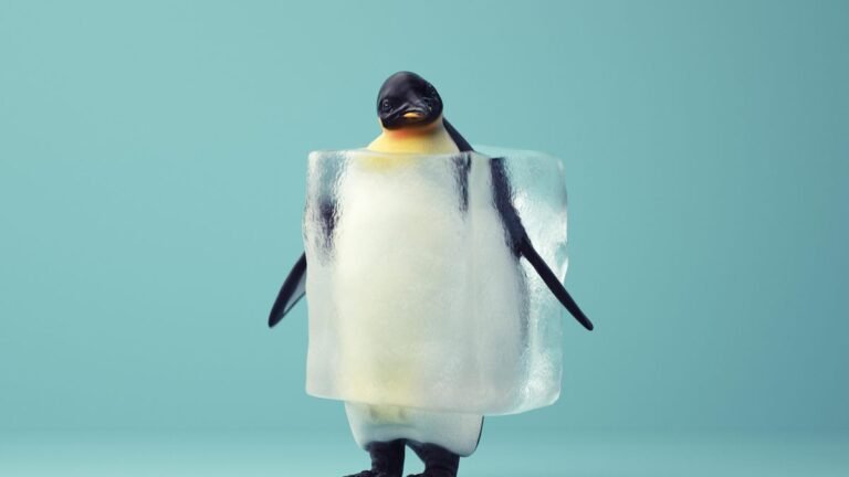 Linux desktop frozen? My 5 go-to tricks to try – before forcing a hard reboot