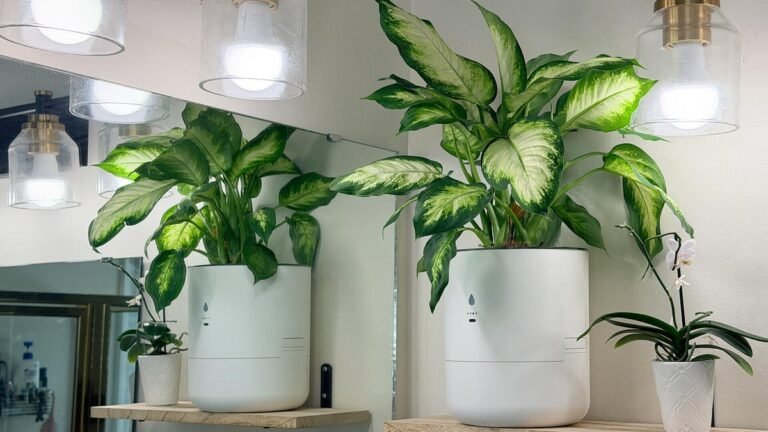 I let a smart planter maintain itself while I was away for 2 months – here’s the result