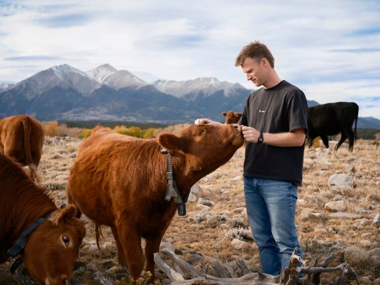 Unpacking Peter Thiel’s big bet on solar-powered cow collars